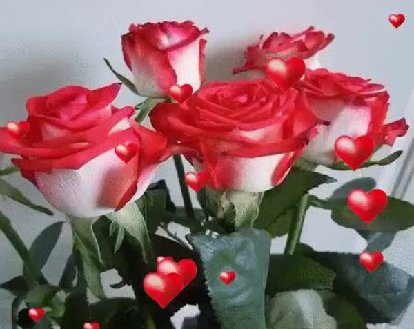 GIF Preview