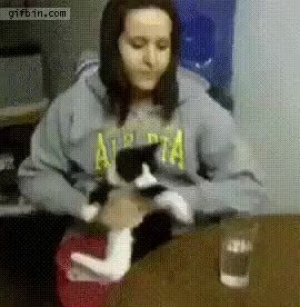 GIF Preview