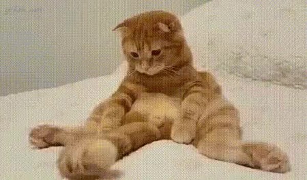 GIF Preview
