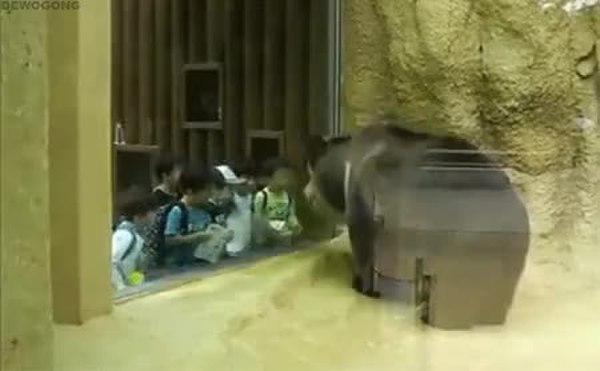 GIF Preview