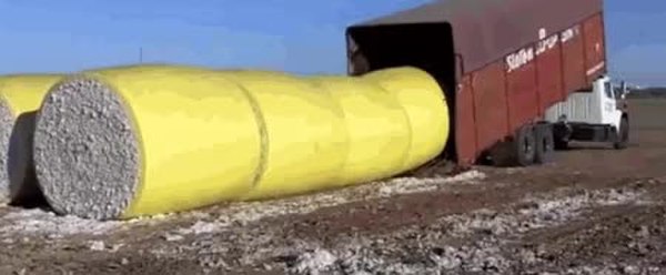 GIF Preview