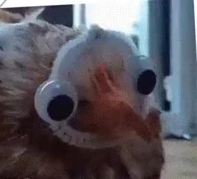 GIF Preview