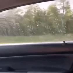 GIF Preview