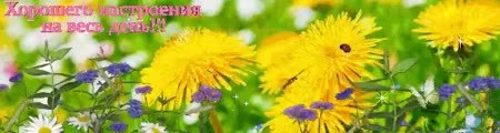 GIF Preview