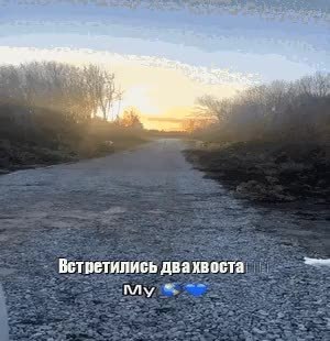 GIF Preview