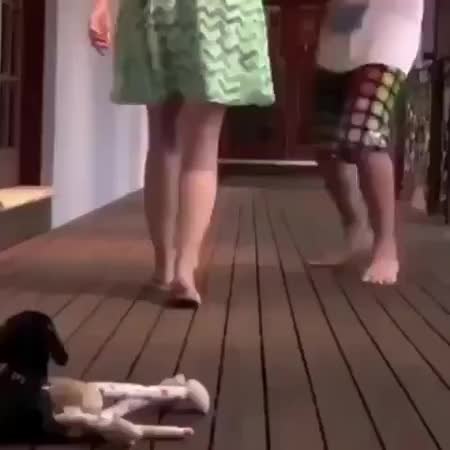 GIF Preview