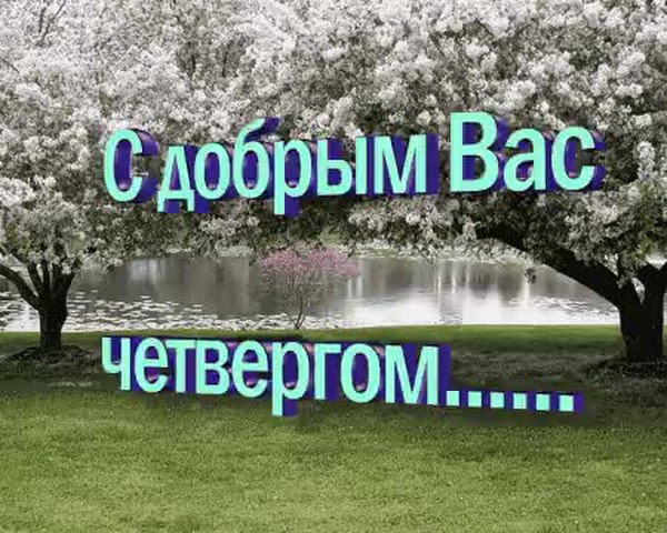 GIF Preview