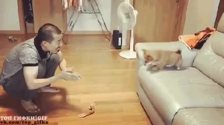 GIF Preview