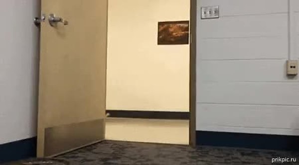 GIF Preview