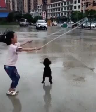 GIF Preview