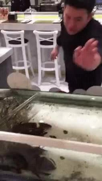 GIF Preview
