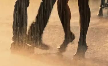 GIF Preview