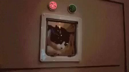 GIF Preview