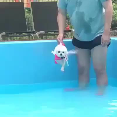 GIF Preview