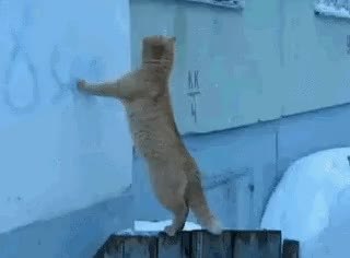 GIF Preview
