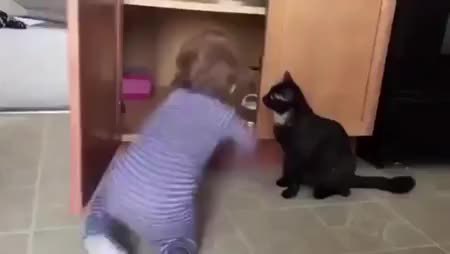 GIF Preview