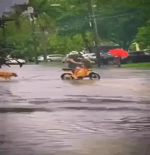 GIF Preview