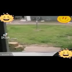 GIF Preview