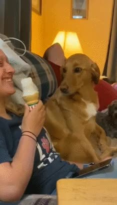 GIF Preview