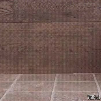 GIF Preview