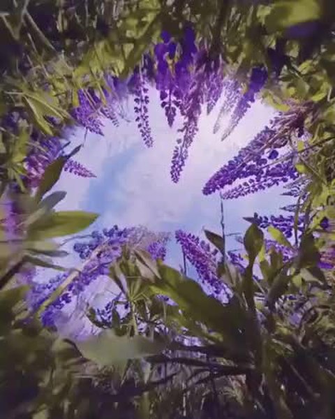 GIF Preview
