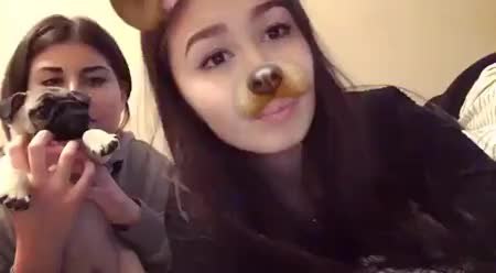 GIF Preview