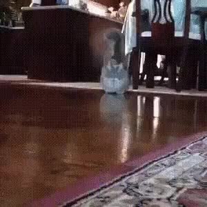 GIF Preview