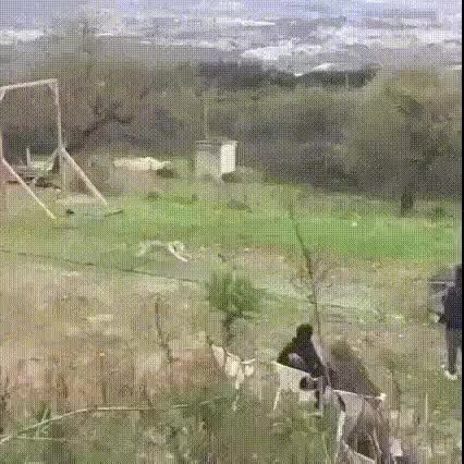 GIF Preview