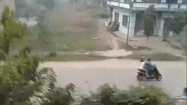 GIF Preview
