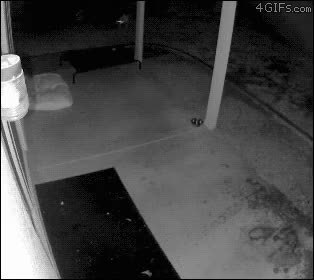 GIF Preview