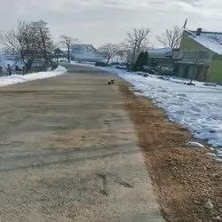 GIF Preview