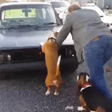 GIF Preview