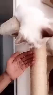 GIF Preview
