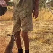 GIF Preview