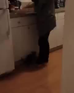 GIF Preview