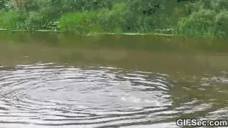 GIF Preview