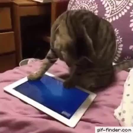 GIF Preview