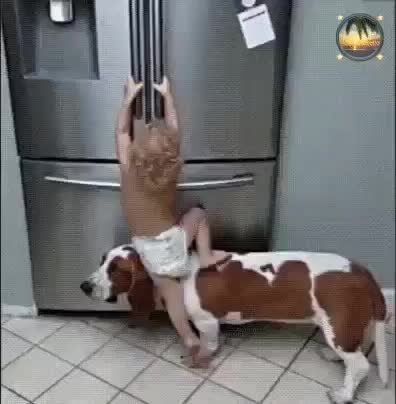 GIF Preview