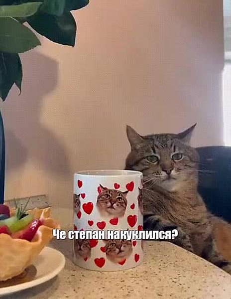 GIF Preview