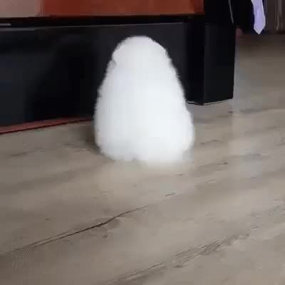 GIF Preview