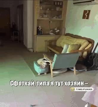 GIF Preview