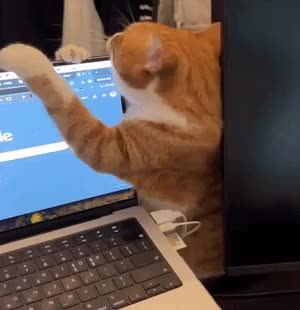 GIF Preview