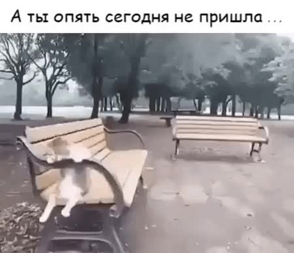 GIF Preview