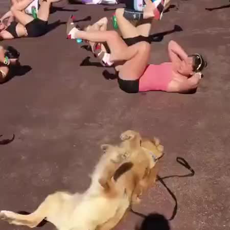 GIF Preview