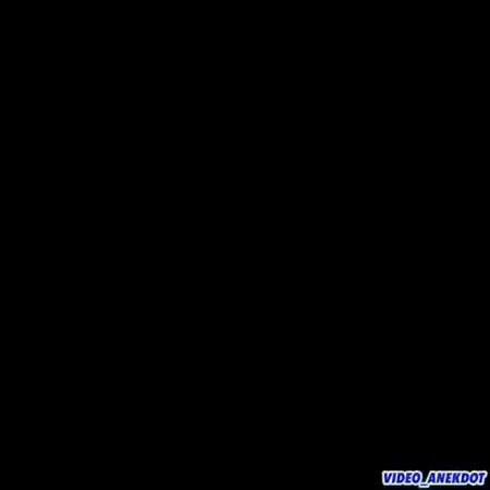 GIF Preview
