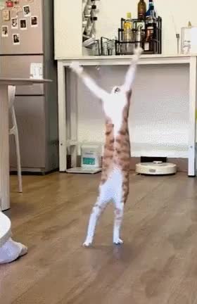 GIF Preview